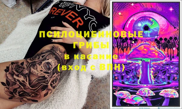 амф Бородино