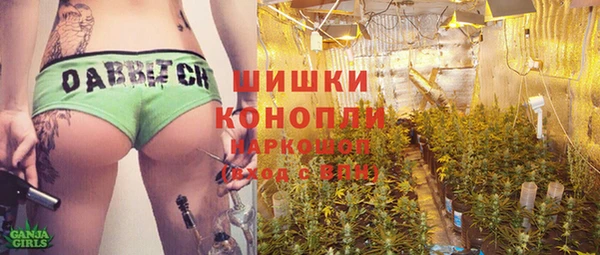 амф Бородино