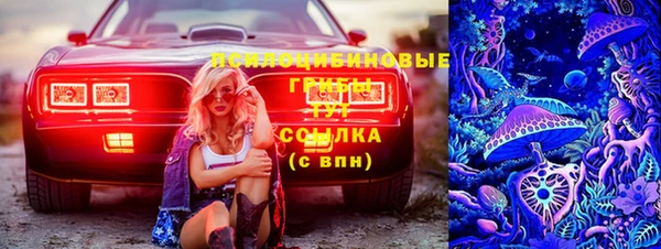 сатива Бронницы