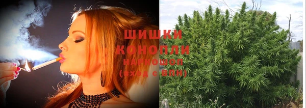 сатива Бронницы