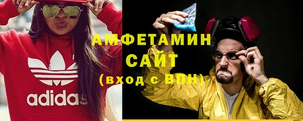 сатива Бронницы