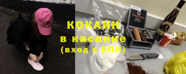амф Бородино